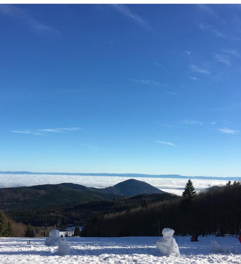 Gite Magnolia Chatenois Alsace Dış mekan fotoğraf