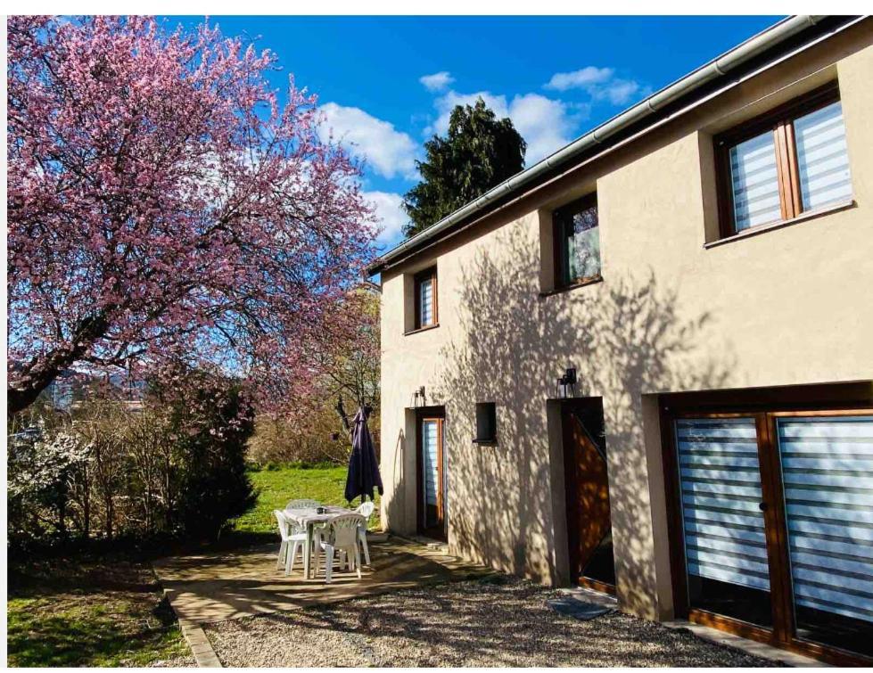 Gite Magnolia Chatenois Alsace Dış mekan fotoğraf